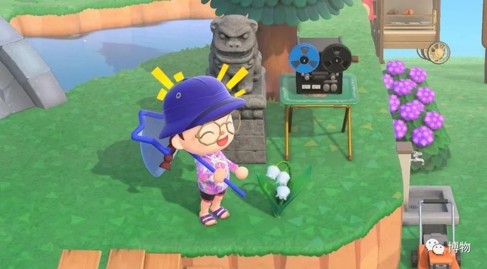 皇室名流捧红的铃兰手捧,你在家就能种