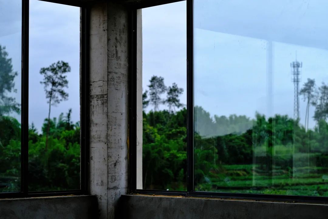 杩滃瀹佽繙,杩滃