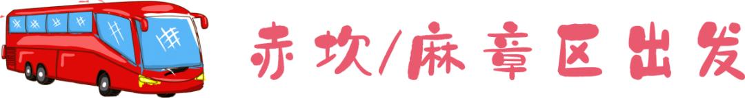 湛江硇洲岛怎么去,怎么去湛江硇洲岛
