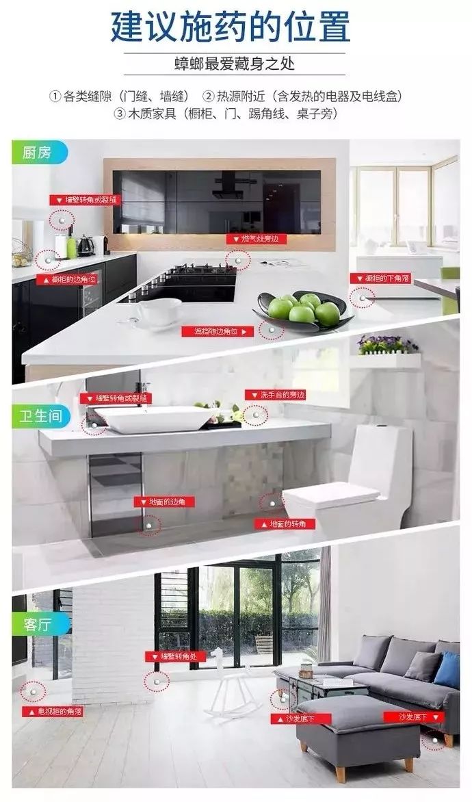 蟑螂满屋爬,蟑螂往身上爬好几只