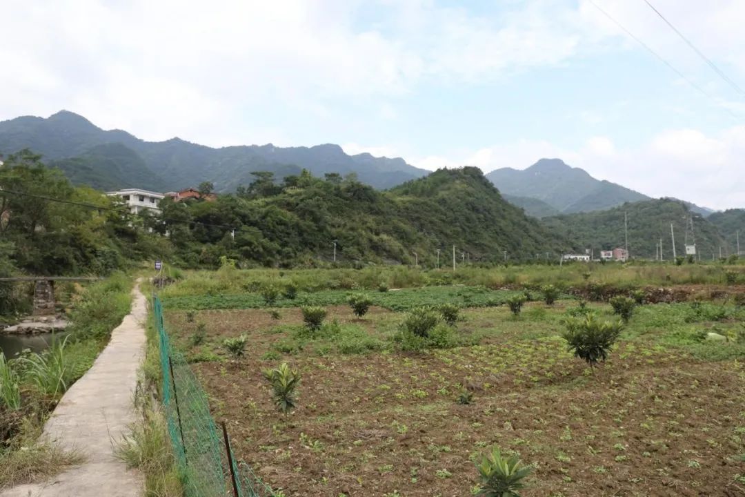 驻村工作组扶贫先扶志,驻村第一书记扶贫先扶志