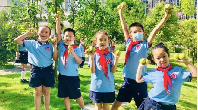 孩子顶嘴不听话叛逆怎么办,孩子玩手机叛逆不听话怎么教育