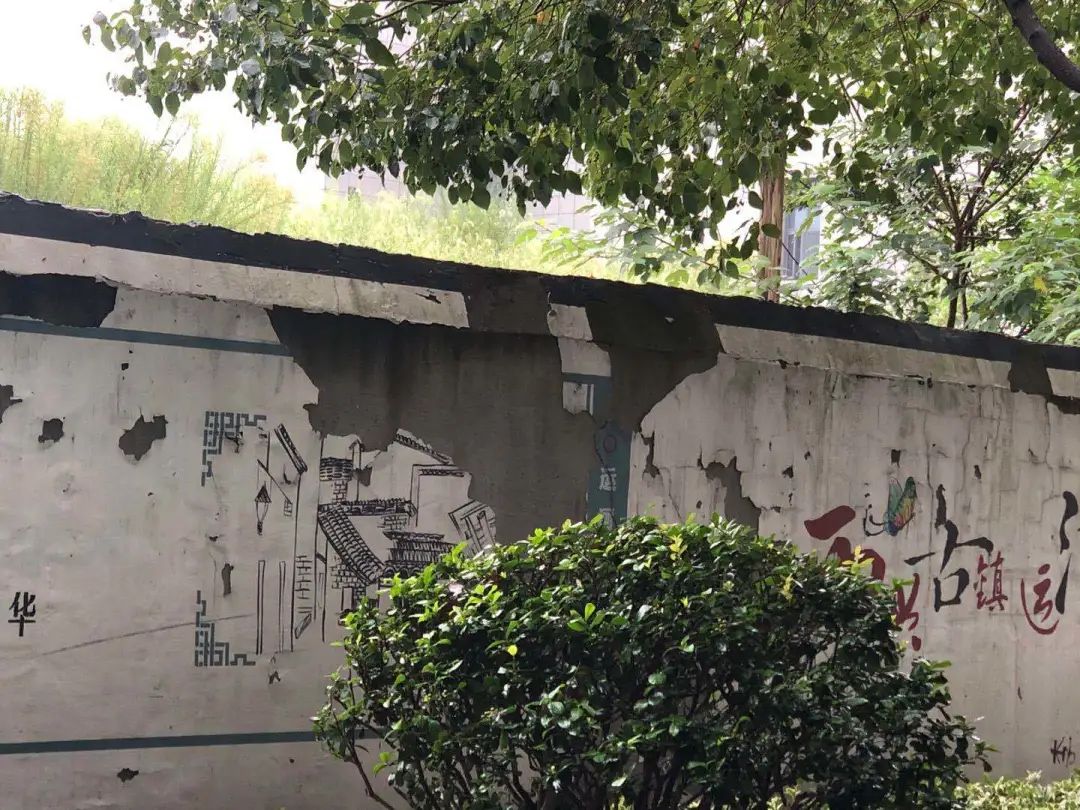 欠收拾图片,宝宝欠收拾