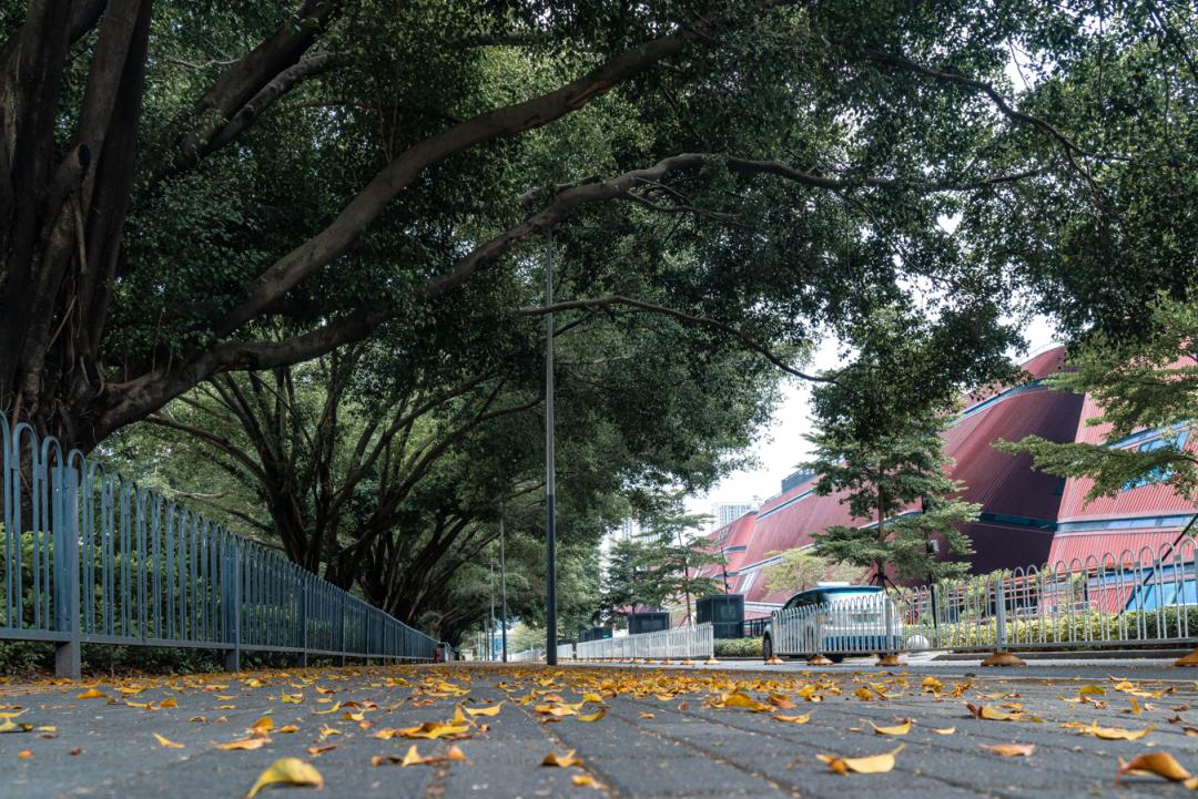 龙岗中心城实况,龙岗中心城全景