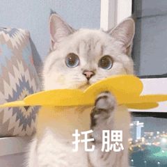 苏州24小时门诊,苏州60个门诊