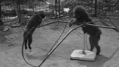 被铁链绑住，注射避孕药，连续伺候几百人后，她挣扎着死去……