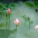 一堂拯救股民的公开课,拯救30万股民