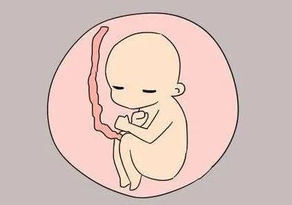 肚脐眼的灰可以抠吗,肚脐眼究竟能不能抠