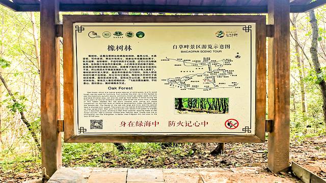 涞水野三坡旅游攻略,涞水白草畔自然风景区野三坡