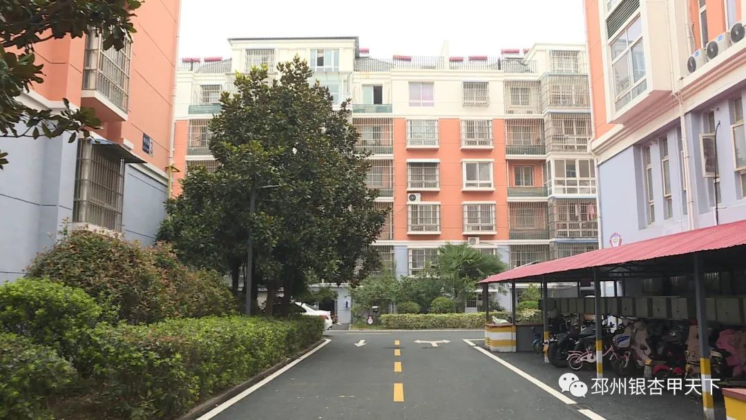 住在运河旁边的真实感受,住在淮海路的真实感受