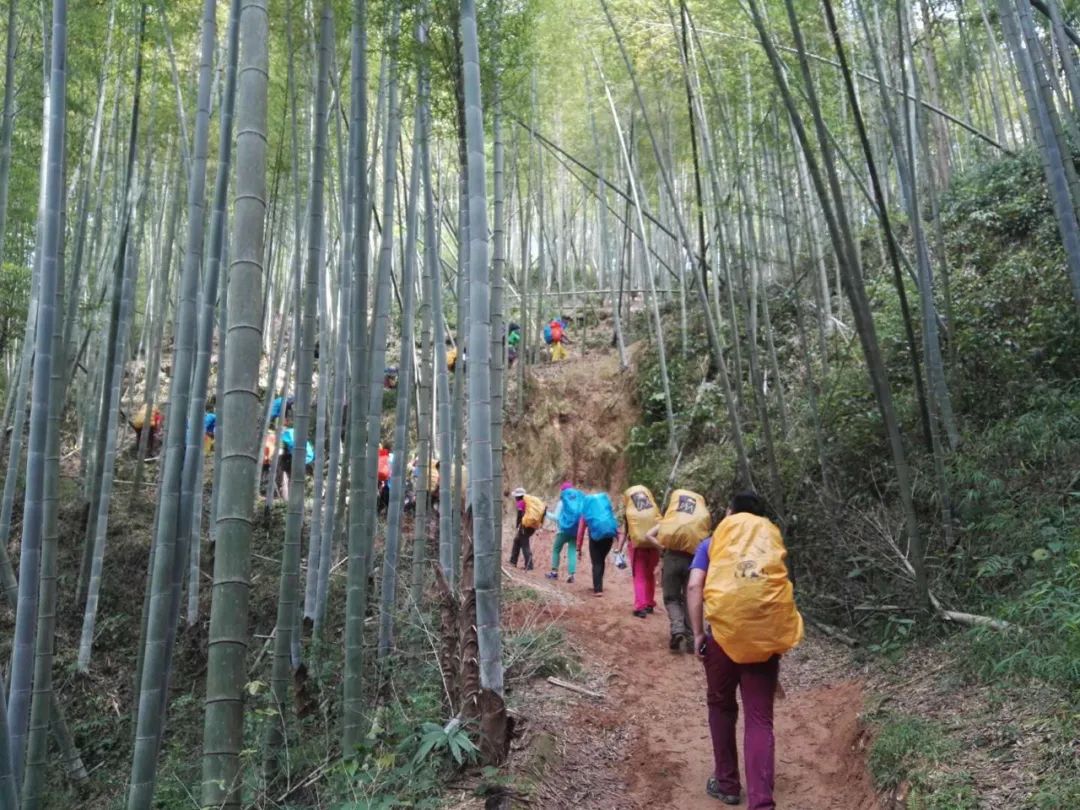 广州登高证培训机构,广州登协报名