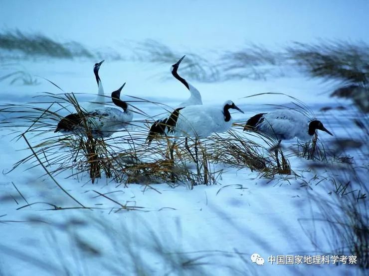 中国少年营新疆站报名,中国少年营报名