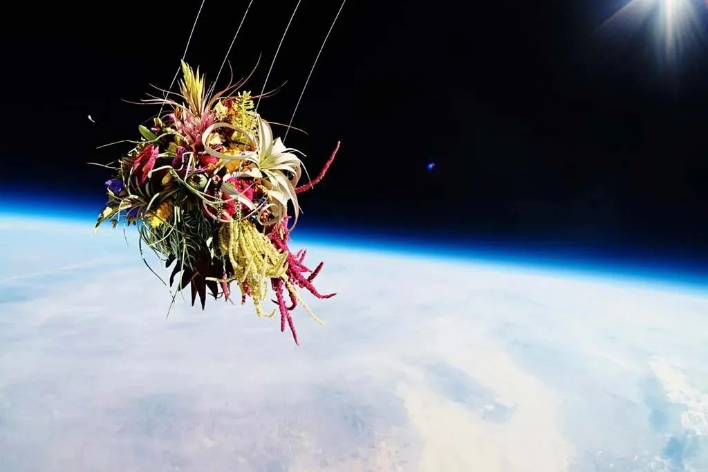 他是日本著名“花花公子”，拈花惹草只为极致的美