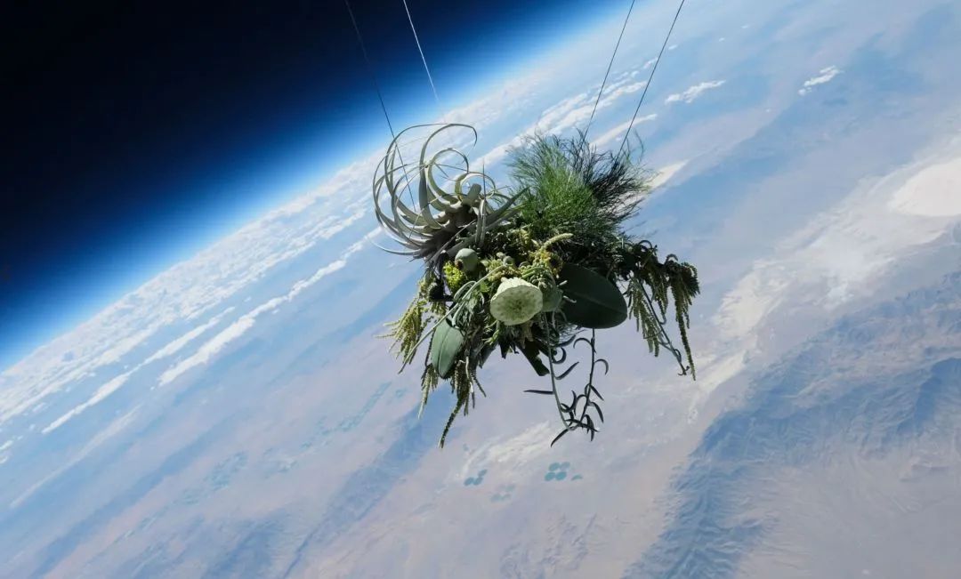 他是日本著名“花花公子”，拈花惹草只为极致的美