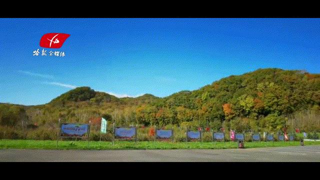 看万山红遍层林尽染全文图片,看万山红遍层林尽染全文朗诵