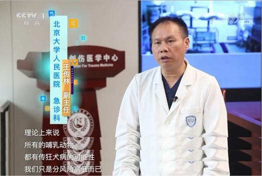 被动物咬伤的正确处理方法,被动物抓伤有什么症状