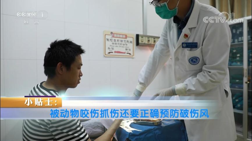 被动物咬伤或抓伤处理方法及顺序,动物抓伤咬伤