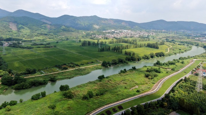 刘敏雷佳音,雷佳音和贾玲用家乡语言表演