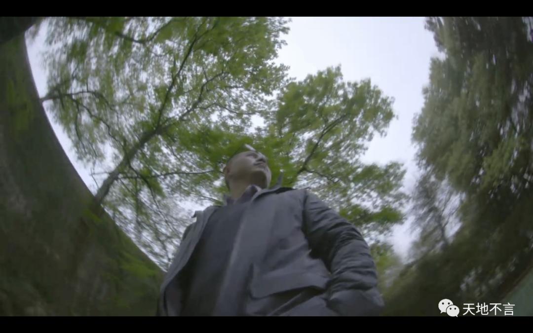 毕飞宇苏北地域文化,毕飞宇在文学界什么地位