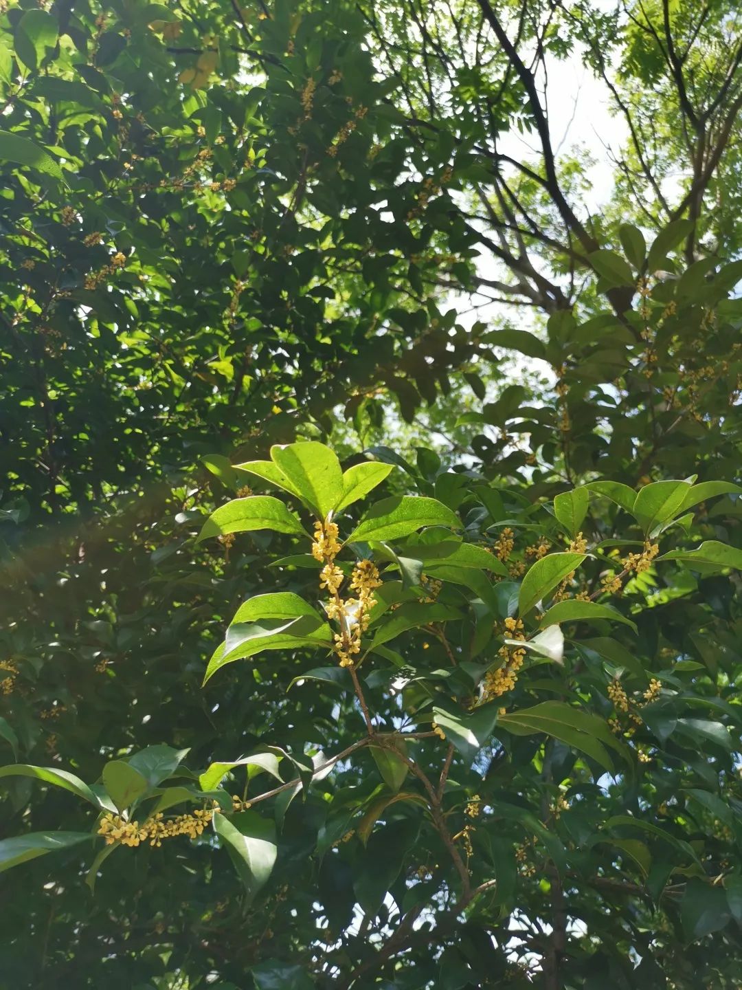 滨江多思创新学校,滨江学校全部排名