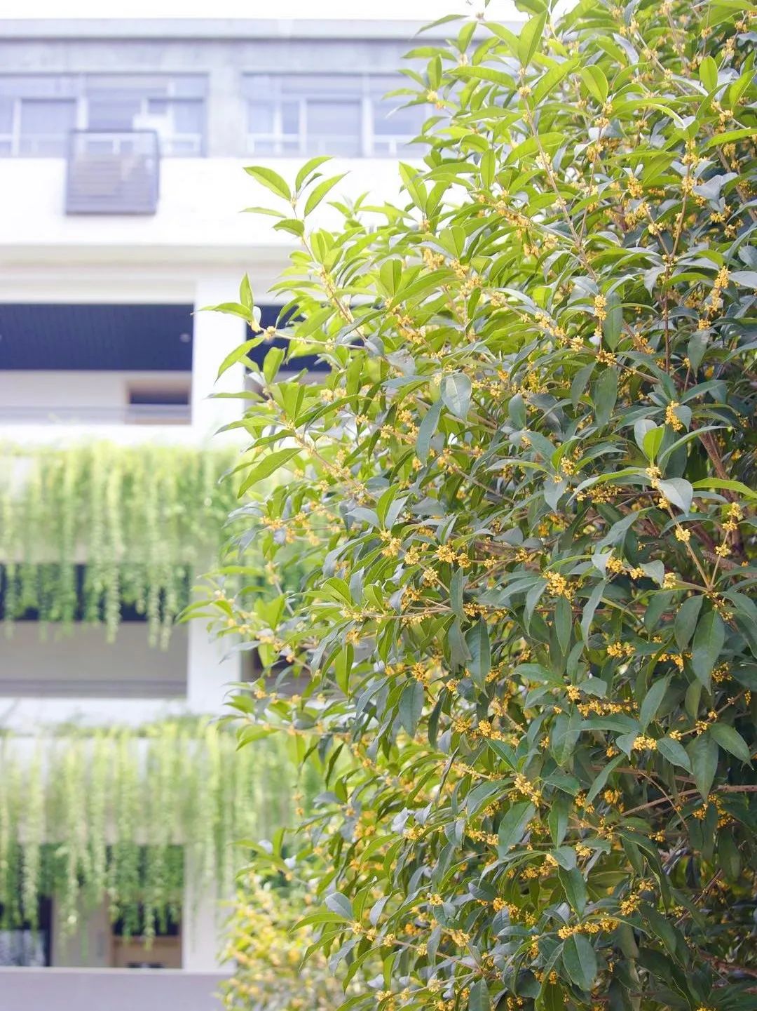 滨江多思创新学校,滨江学校全部排名