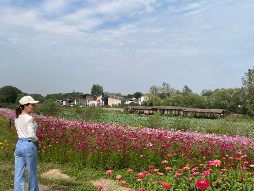 存款超200万家庭,八天突破100万粉丝