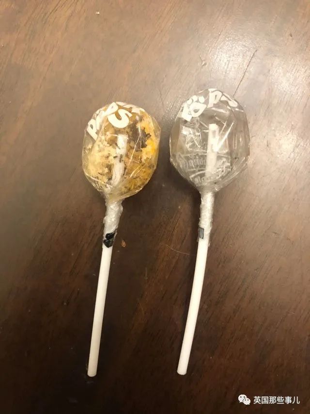 猫头鹰没有眼睛能说话吗,猫头鹰没眼皮