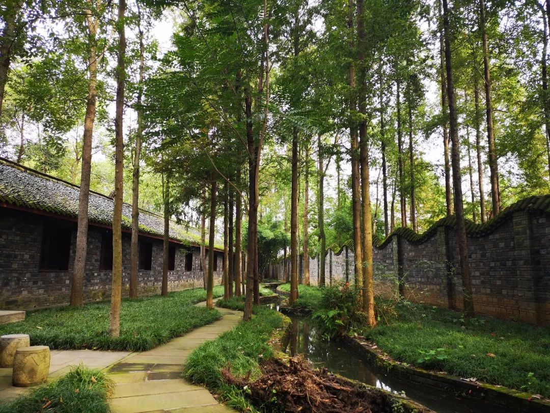 广汉有什么好吃又实惠,广汉有什么推荐的吃的