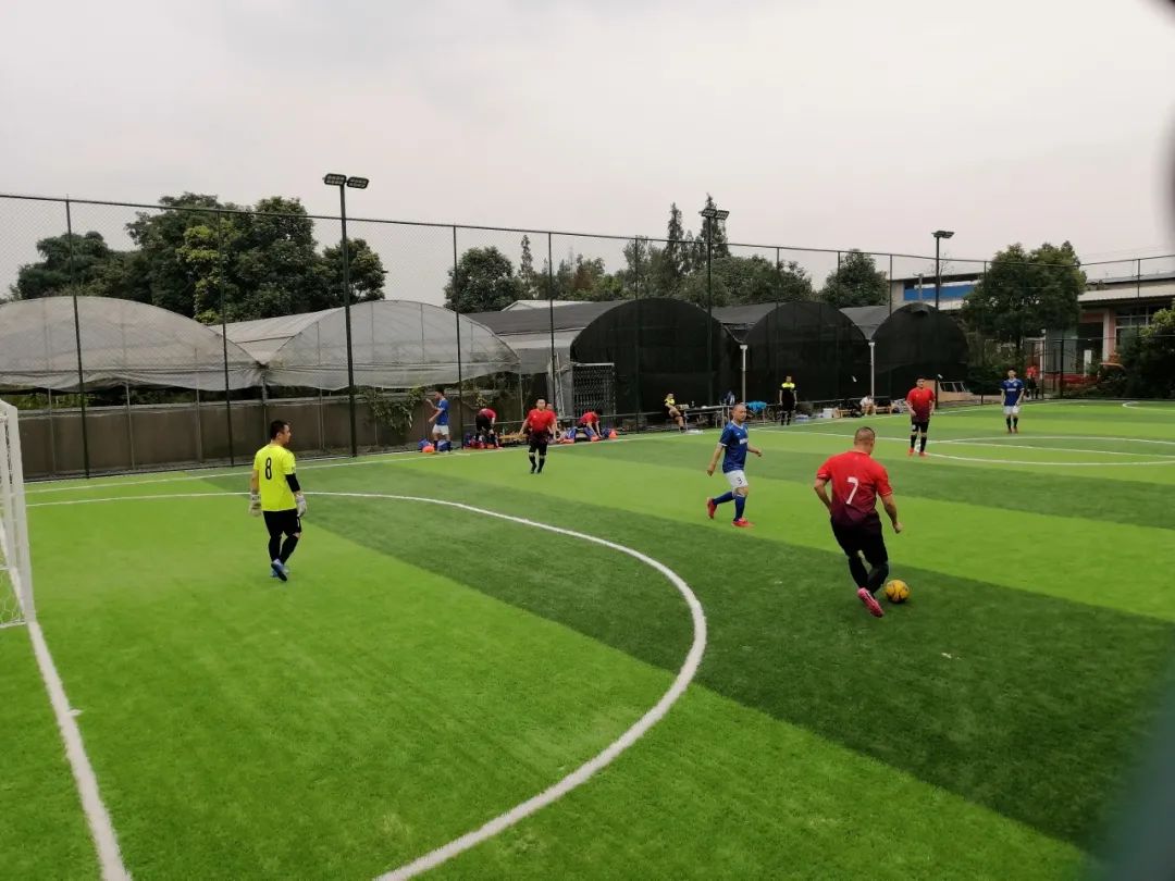 青白江足球场推荐,青白江特色风景