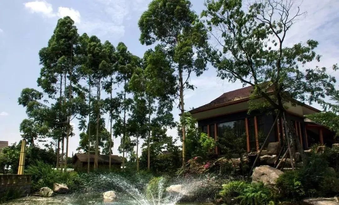 青白江美景,青白江风景美景