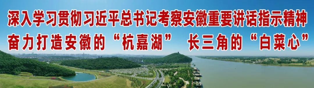 这场决战,他们手中有“术”