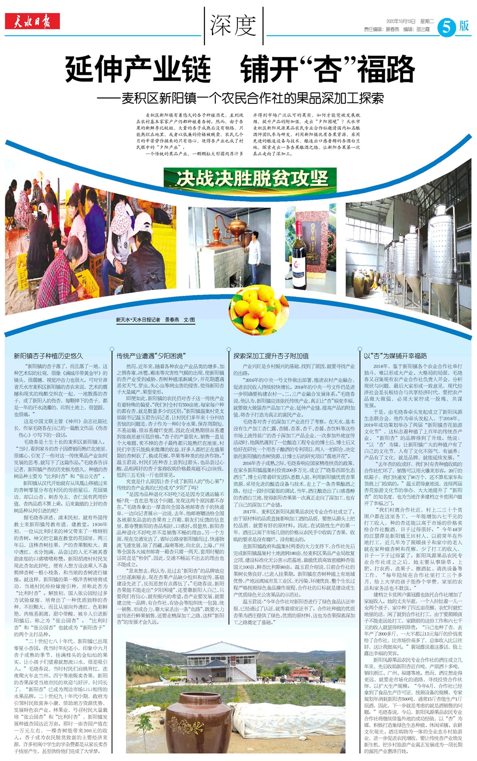 延伸产业链拓宽致富路,麦积区新阳镇未来新阳规划图