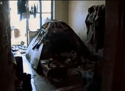 乐夏结束了么,乐夏之后解散的乐队