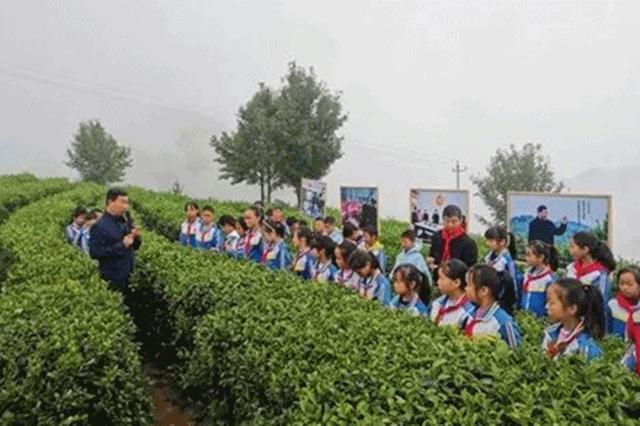 新时代少先队员要从小长大做先锋,从小学先锋长大做先锋2019