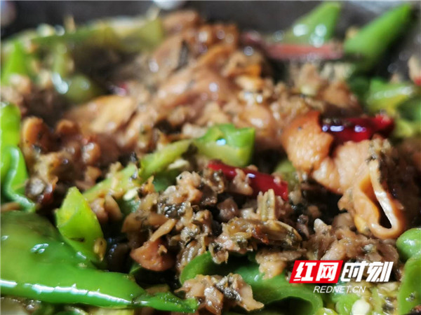 素素吃点啥,素素这周吃了啥