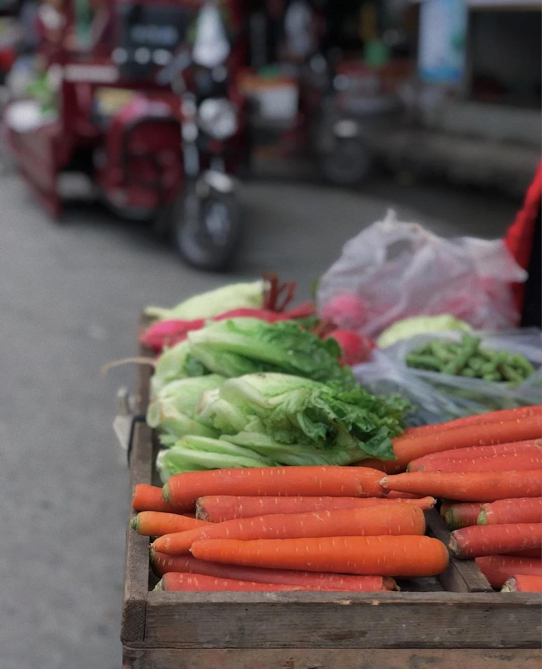 我的家乡武都怎么介绍,介绍我的家乡陇南武都
