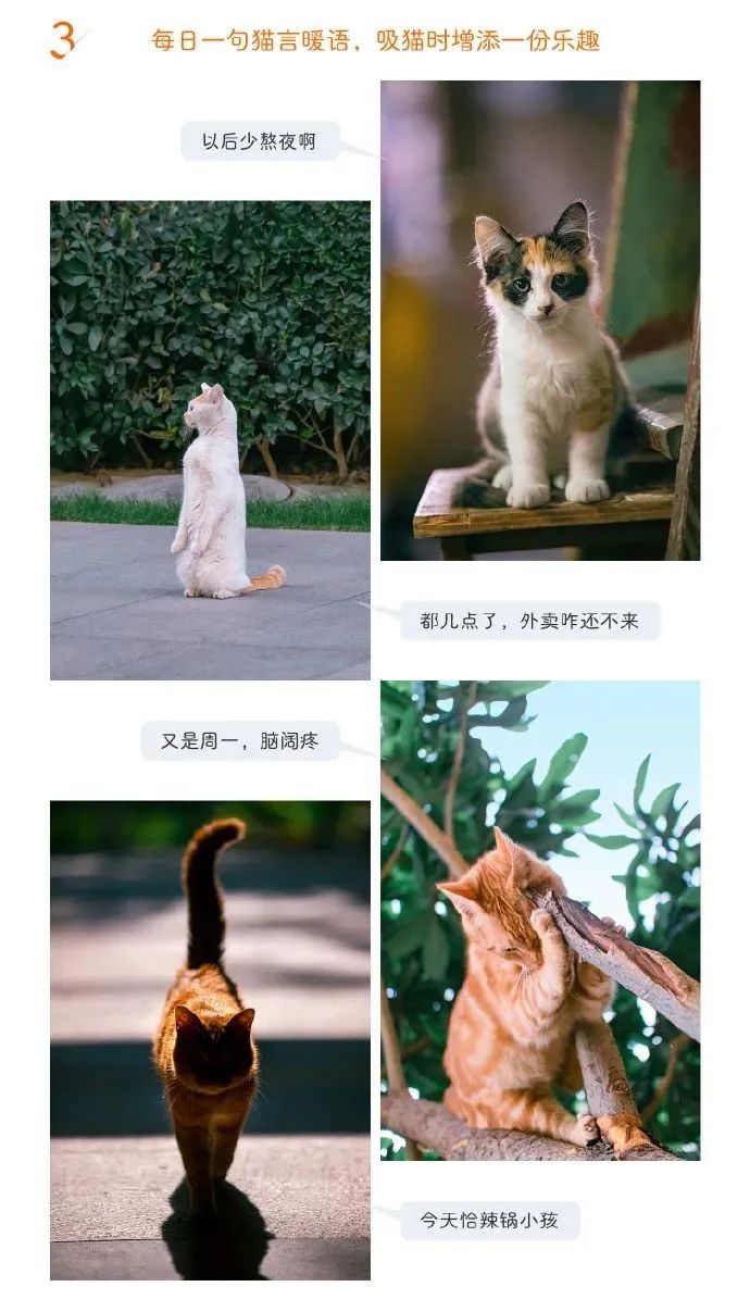 你喜欢肌肉男还是瘦小男,你喜欢运动型还是文艺型