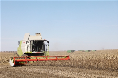 扎兰屯市现代农业 (谱绘农业农村发展新蓝图)