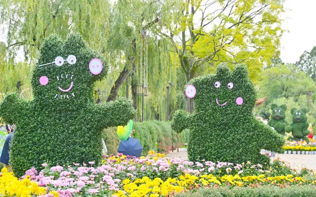 重阳关爱老人暖人心,重阳节陪伴是最好的孝心