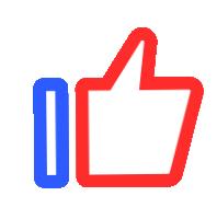 市长杯2021足球赛小学组甲组,2023市长杯足球比赛小学组