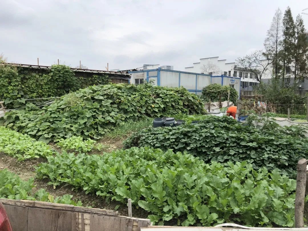 曝光台不文明行为煞了风景,曝光台不文明行为实拍曝光