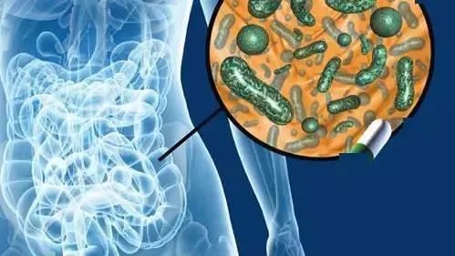 最新调查:剖腹产出生的孩子肥胖和过敏的风险更高!你还要选择剖腹产吗?