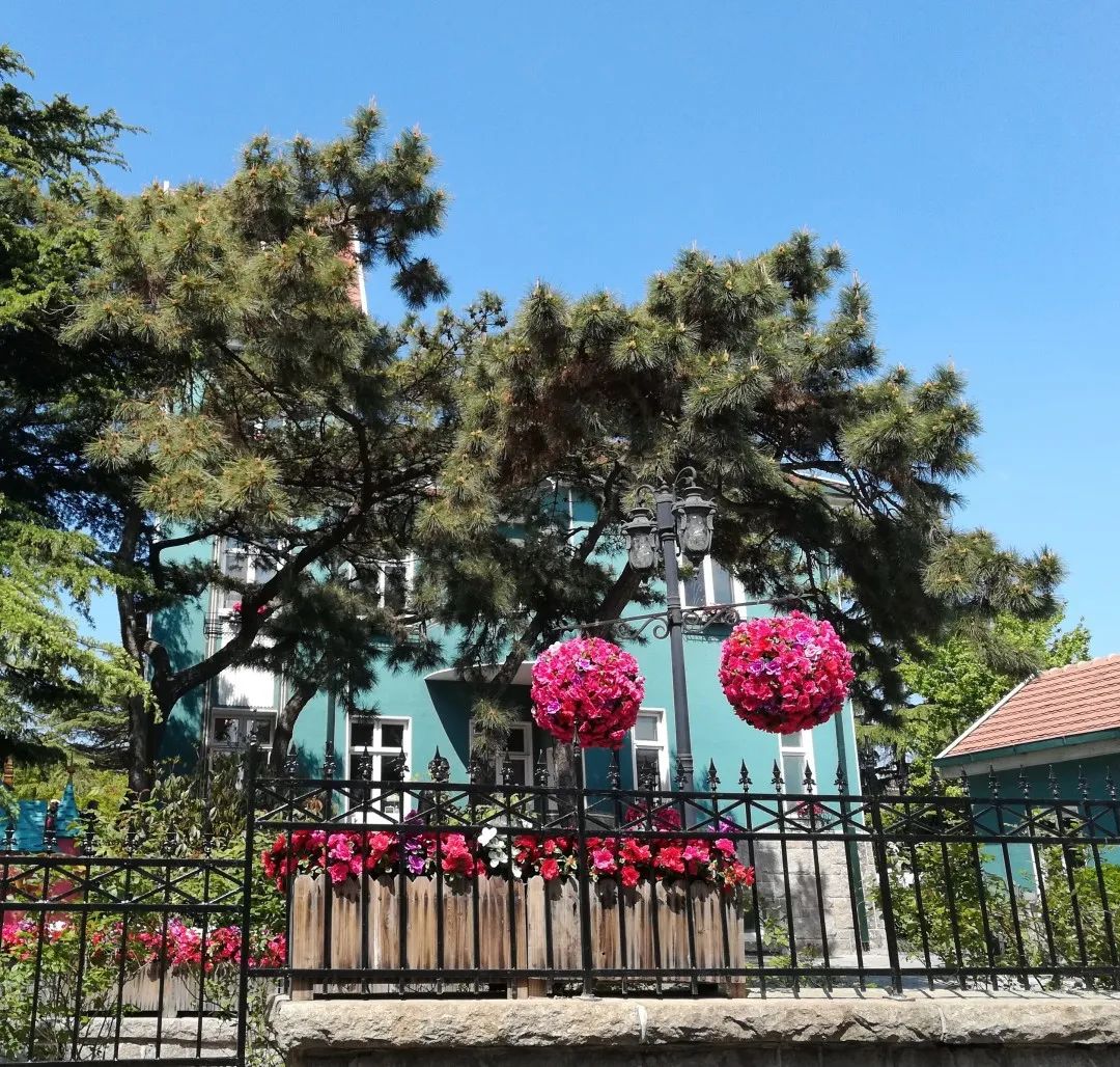 什么是青岛的象征,什么是青岛