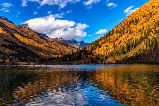 四姑娘山7-9月的风景,错过四姑娘山的秋天