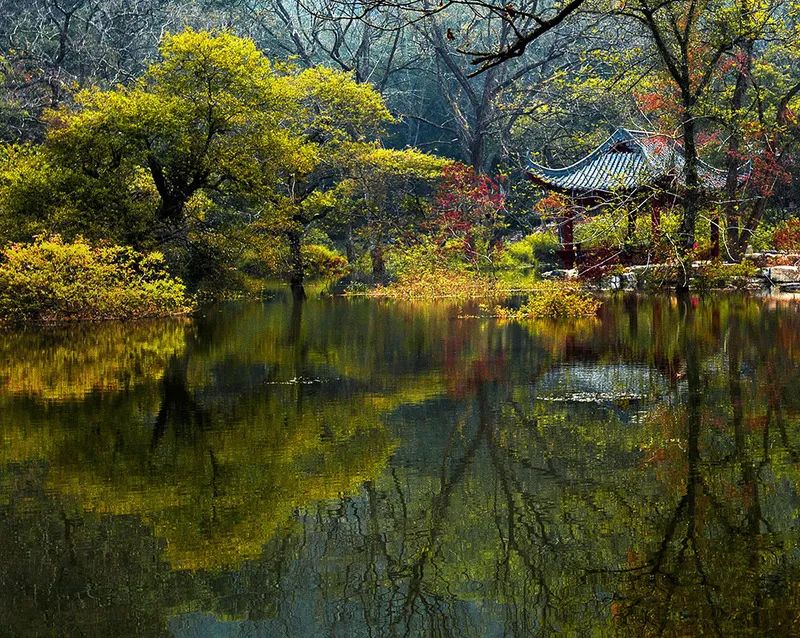 上车旅游打卡,上车打卡下车打卡