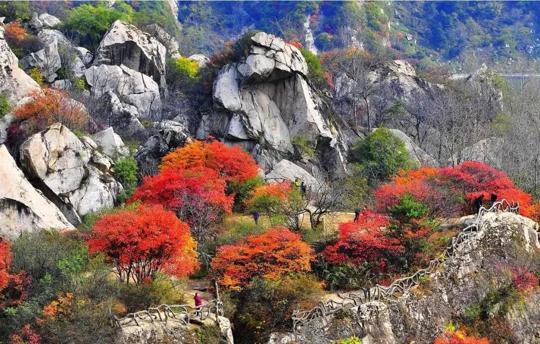 曲江秋天风景,曲江的秋色