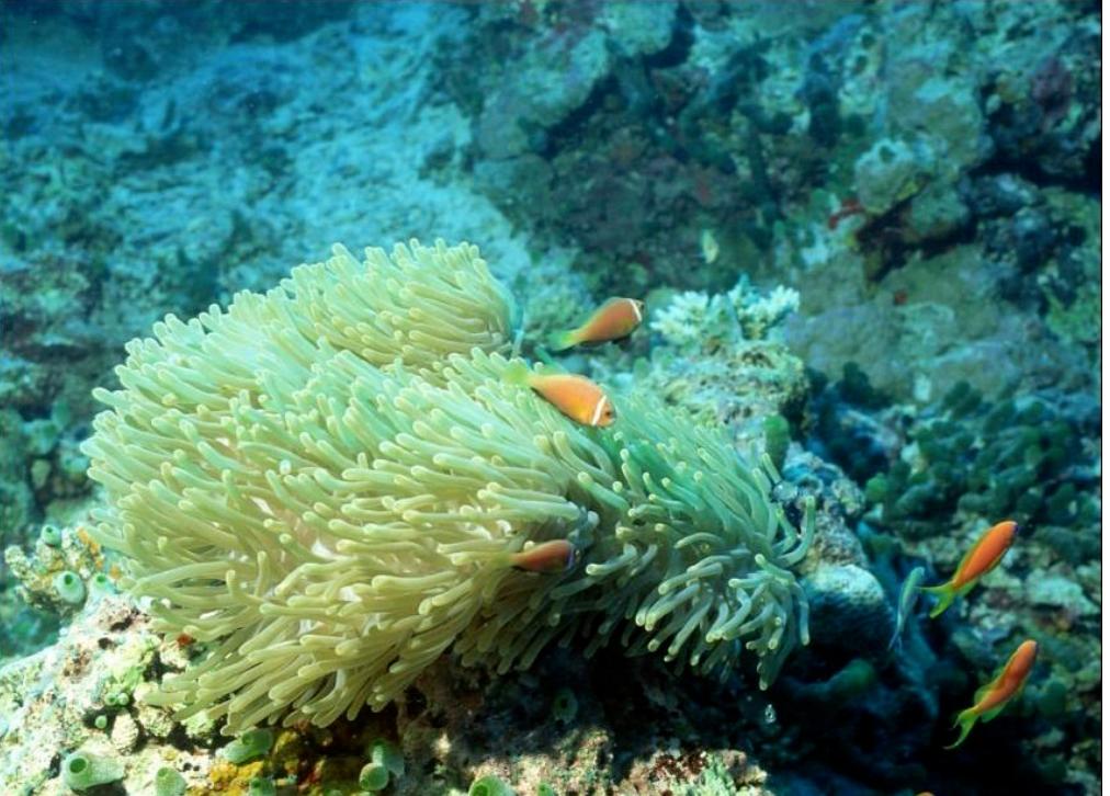 南方协和防晒身体乳,南方协和美白身体乳