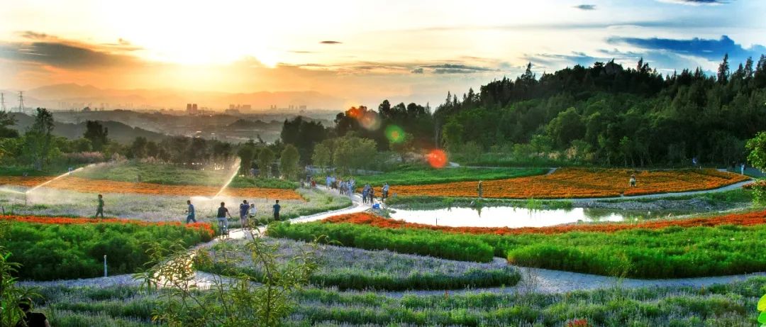 爬厦门仙灵旗,厦门周边登高望远的地方