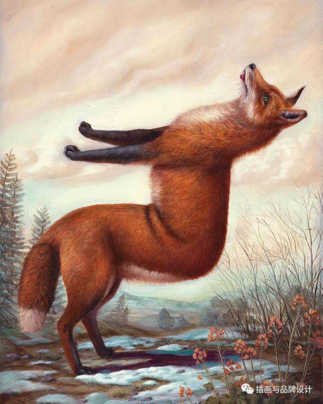 荒诞极端插画,荒诞主义插画