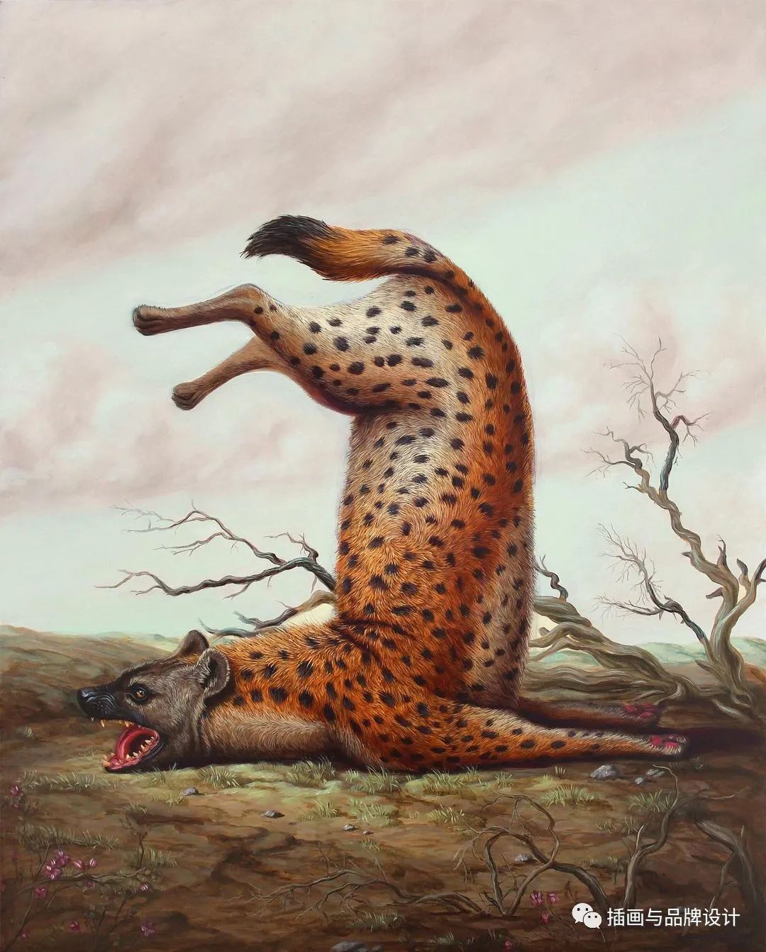 荒诞极端插画,荒诞主义插画